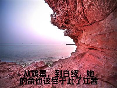 从鸩毒,到白绫,她的命也该尽于此了江茜最新章节(江茜崔修安)全文免费阅读无弹窗大结局_江茜崔修安免费阅读