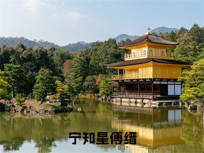 宁知星傅缙全文免费在线阅读大结局_(宁知星傅缙免费阅读无弹窗)宁知星傅缙全文免费完结版阅读(宁知星傅缙)