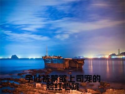 陆砚南林宜(孕吐被禁欲上司宠的脸红心跳)全文免费阅读无弹窗大结局_陆砚南林宜免费试读阅读全文无弹窗