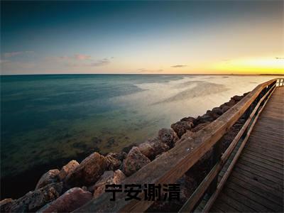 宁安谢清小说(谢清宁安)全文在线阅读免费大结局_宁安谢清小说最新章节列表