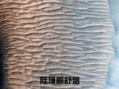 陆瑾顾舒烟完整版（陆瑾顾舒烟小说）全文免费阅读无弹窗大结局_陆瑾顾舒烟最新章节（陆瑾顾舒烟小说）