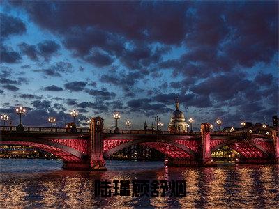陆瑾顾舒烟(陆瑾顾舒烟)全文免费阅读无弹窗大结局_陆瑾顾舒烟(陆瑾顾舒烟)最新章节列表