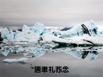 唐聿礼苏念(唐聿礼苏念)小说全文免费阅读正版无弹窗_唐聿礼苏念小说免费阅读全文无弹窗_笔趣阁