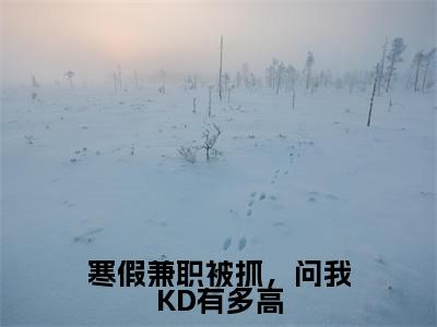 苏白完整版（寒假兼职被抓，问我KD有多高小说）全文免费阅读无弹窗大结局_寒假兼职被抓，问我KD有多高最新章节（苏白小说）