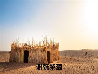 谢殊黎蕴(黎蕴谢殊)全文免费阅读无弹窗大结局_谢殊黎蕴最新章节列表_笔趣阁