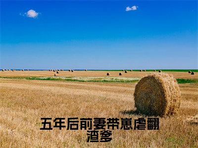 五年后前妻带崽虐翻渣爹(苏笙厉玺寒)全文免费阅读无弹窗大结局_五年后前妻带崽虐翻渣爹免费阅读无弹窗
