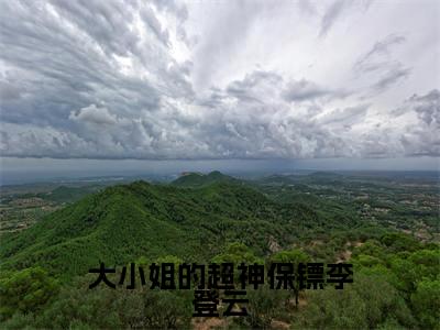 大小姐的超神保镖李登云(李登云)小说全文大结局-(李登云)全章节完整版在线阅读