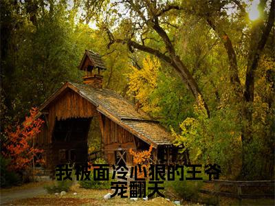小说名字是：我被面冷心狠的王爷宠翻天小说免费阅读无弹窗,小说名字是： 楚穆阮棠的小说在线阅读无删减