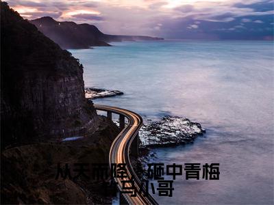 张玥多人推荐-好看的小说从天而降,砸中青梅竹马小哥完整版免费阅读