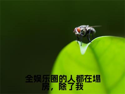 全娱乐圈的人都在塌房，除了我（屠虔虔）全文免费阅读无弹窗大结局_全娱乐圈的人都在塌房，除了我免费阅读无弹窗