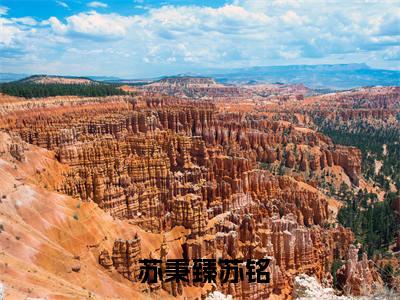  苏秉臻苏铭（天选开局，魂穿首富之子）全文免费阅读无弹窗_ 苏秉臻苏铭最新小说_笔趣阁（天选开局，魂穿首富之子）