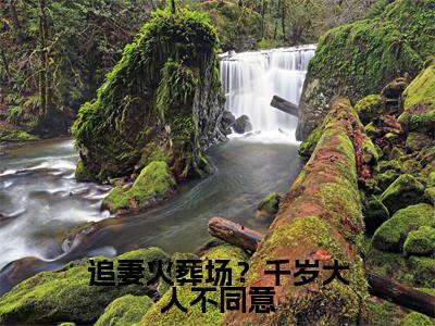 叶晚棠裴渡（追妻火葬场？千岁大人不同意）全文免费阅读无弹窗_（叶晚棠裴渡全文免费阅读无弹窗）叶晚棠裴渡最新章节列表