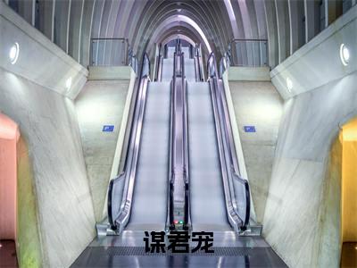 谋君宠(温若元政)全文免费阅读无弹窗大结局_谋君宠免费阅读无弹窗