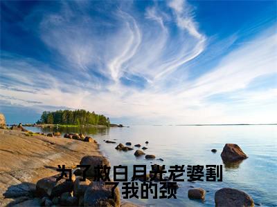 (顾良辰张雪琪)全文免费阅读无弹窗大结局-为了救白月光老婆割了我的颈小说最新章节列表