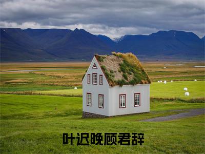 顾君辞叶迟晚(叶迟晚顾君辞)全文免费阅读无弹窗大结局_(叶迟晚顾君辞)顾君辞叶迟晚最新章节列表