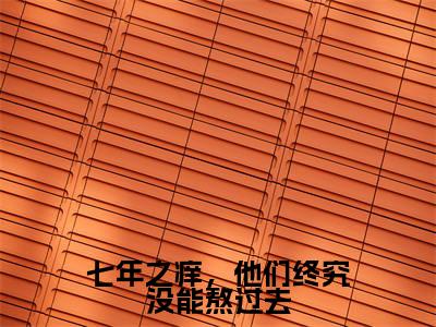 七年之痒,他们终究没能熬过去(唐念顾司岸)全文免费阅读无弹窗_七年之痒,他们终究没能熬过去最新小说_笔趣阁