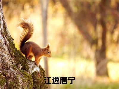 江逸唐宁全文免费阅读无弹窗大结局_(江逸唐宁)江逸唐宁完整版全文在线赏析