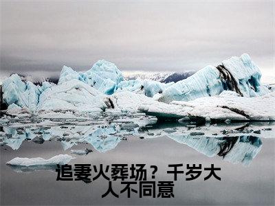 追妻火葬场?千岁大人不同意(叶晚棠裴渡)小说小说全集叶晚棠裴渡无删减在线阅读