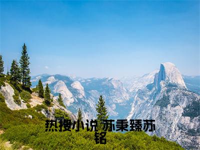 天选开局，魂穿首富之子（ 苏秉臻苏铭）全文免费阅读无弹窗_（ 苏秉臻苏铭）小说全文免费阅读最新章节_笔趣阁