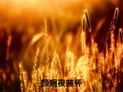颜婉夜林怀小说(颜婉夜林怀)完整版大结局-颜婉夜林怀小说免费阅读