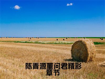  陈青源董问君（长庚剑仙）全文免费阅读无弹窗大结局_长庚剑仙全文在线阅读