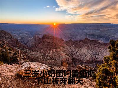三岁小奶团叼着奶瓶下山被宠翻天(姜颜落)全文免费读无弹窗大结局_三岁小奶团叼着奶瓶下山被宠翻天免费阅读全文大结局最新章节列表
