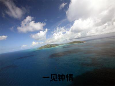  楚泽夏安若（一见钟情）全文阅读-最火热点小说 楚泽夏安若最新更新
