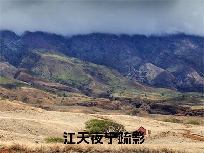 那个男人回来了！全本资源免费阅读结局无删节主角： 江天夜宁疏影小说全文阅读无弹窗
