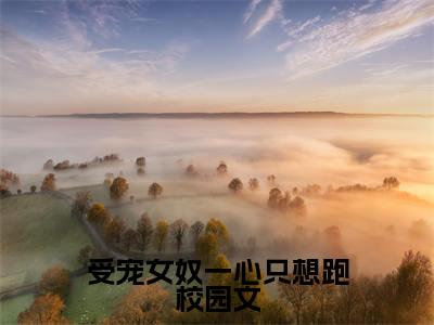 受宠女奴一心只想跑小说全文( 李晗白苏苏)免费阅读全文无弹窗大结局_ 李晗白苏苏免费阅读无弹窗小说_笔趣阁
