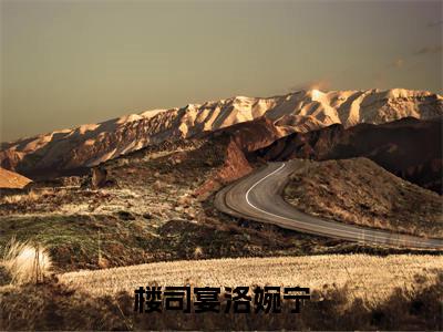 洛婉宁楼司宴小说全文免费阅读_(洛婉宁楼司宴)楼司宴洛婉宁小说最新章节列表笔趣阁