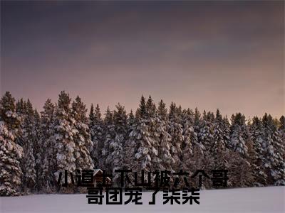 小道士下山被六个哥哥团宠了柒柒(柒柒)全文免费阅读无弹窗无删减_小说(小道士下山被六个哥哥团宠了柒柒)柒柒最新章节列表笔趣阁