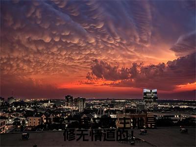快穿：虐文女主她是修无情道的！（时苒）全文免费阅读无弹窗大结局_快穿：虐文女主她是修无情道的！全文阅读完整版_笔趣阁（时苒）
