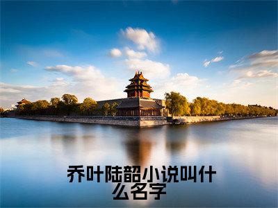  乔叶陆韶小说完整版阅读-极品亲戚作妖，全来给我当长工小说全文无删减版