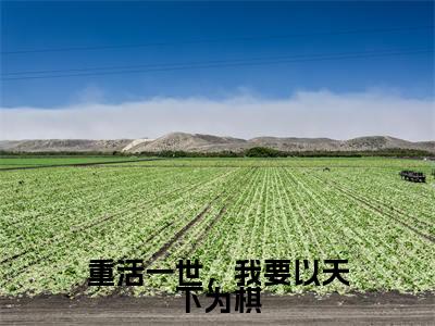 沈嘉闵谢饶年(重活一世,我要以天下为棋)全文免费阅读无弹窗大结局_(重活一世,我要以天下为棋小说免费阅读)_笔趣阁