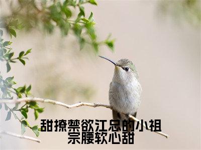 甜撩禁欲江总的小祖宗腰软心甜（江寒陌林初初）全文免费阅读无弹窗大结局_甜撩禁欲江总的小祖宗腰软心甜_笔趣阁（江寒陌林初初）