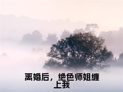 离婚后,绝色师姐缠上我(李玄大结局小说全集完整版)_(李玄小说)离婚后,绝色师姐缠上我全文阅读笔趣阁