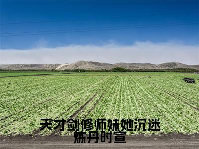 (天才剑修师妹她沉迷炼丹时宣抖音小说)时宣小说全文阅读免费