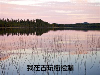 我在古玩街捡漏，开局十万倍利润（ 陈瀚宁欣楠）全文免费阅读无弹窗_我在古玩街捡漏，开局十万倍利润完整版最新阅读_笔趣阁（ 陈瀚宁欣楠）