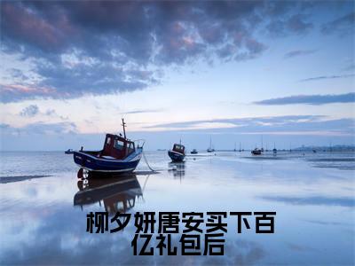 小说买下百亿礼包后，我杀爆全球全文阅读无弹窗大结局_（ 柳夕妍唐安）买下百亿礼包后，我杀爆全球最新章节列表_笔趣阁