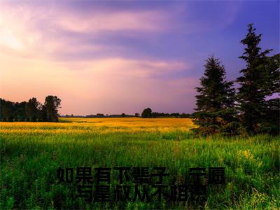 如果有下辈子，宁愿与皇叔从不相识（顾晚钰谢鹤憬）全文免费阅读无弹窗大结局_顾晚钰谢鹤憬最新章节列表_笔趣阁（顾晚钰谢鹤憬）
