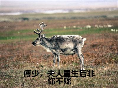 傅少,夫人重生后非你不嫁(顾言溪傅砚辞)全文免费完结版阅读_(顾言溪傅砚辞)傅少,夫人重生后非你不嫁最新章节列表笔趣阁