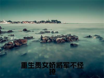 重生贵女娇将军不经撩(林婉棠薛景睿)全文免费阅读无弹窗大结局_重生贵女娇将军不经撩最新章节列表_笔趣阁(林婉棠薛景睿)