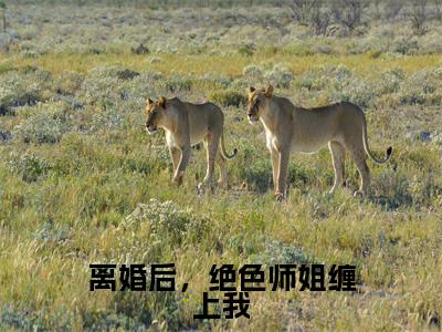 (热推新书)《离婚后,绝色师姐缠上我》李玄-热推李玄无弹窗阅读离婚后,绝色师姐缠上我在线阅读