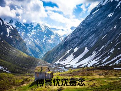 沈嘉念傅寄忱(傅寄忱沈嘉念全文免费阅读)无弹窗-沈嘉念傅寄忱(傅寄忱沈嘉念)完整版在线赏析笔趣阁