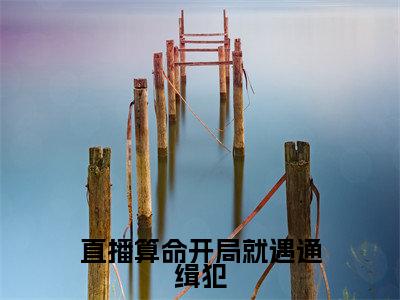 小说直播算命开局就遇通缉犯全文免费阅读无弹窗_(姜也完结)直播算命开局就遇通缉犯小说免费阅读无弹窗最新章节列表