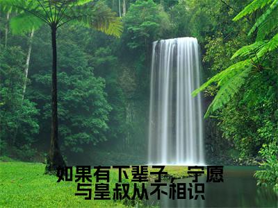 (如果有下辈子,宁愿与皇叔从不相识)完整版小说阅读,顾晚钰谢鹤憬小说精彩免费试读