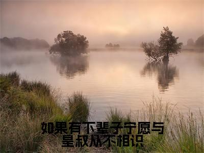 如果有下辈子宁愿与皇叔从不相识（顾晚钰谢鹤憬）精选热门小说-小说（如果有下辈子宁愿与皇叔从不相识）顾晚钰谢鹤憬全文免费阅读最新章节列表