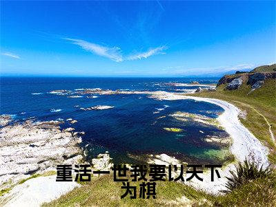 (沈嘉闵谢饶年)是什么小说-重活一世我要以天下为棋全文免费阅读无弹窗大结局(沈嘉闵谢饶年)最新章节列表