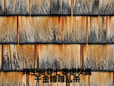 带空间穿七零炮灰真千金嘎嘎乱杀(柳星禾)多人推荐阅读-精选小说(柳星禾)完整版免费阅读