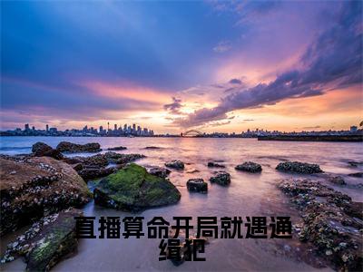 直播算命开局就遇通缉犯（姜也）全文免费阅读_直播算命开局就遇通缉犯（姜也）最新章节小说免费阅读